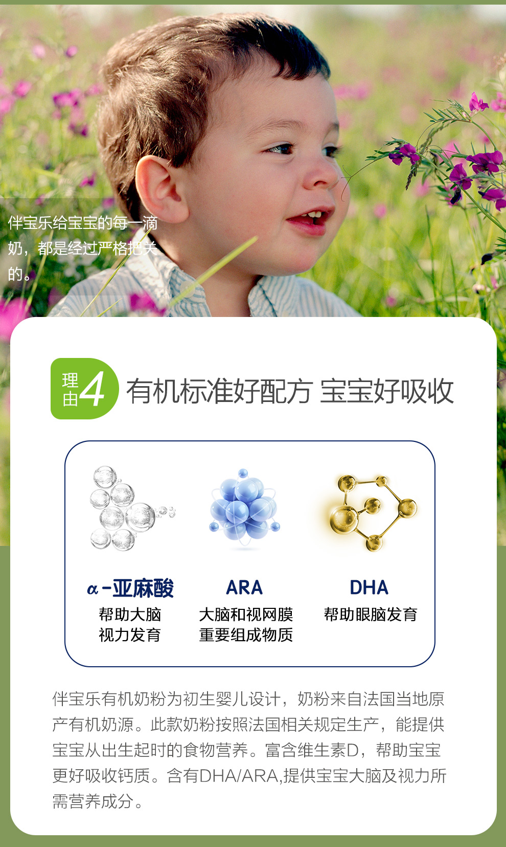 40284ddeb47732fe.jpg